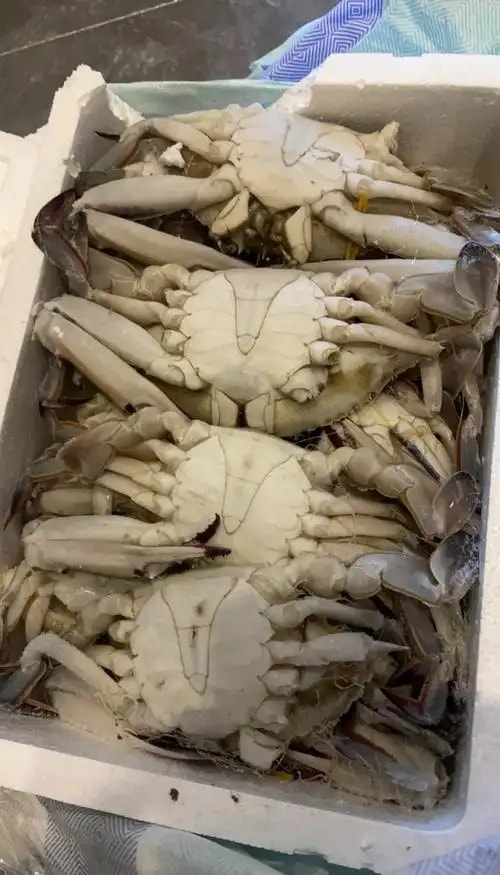 河蟹冻品