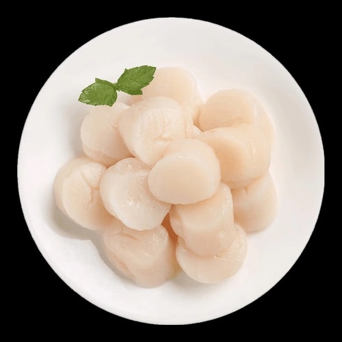 冷冻扇贝柱