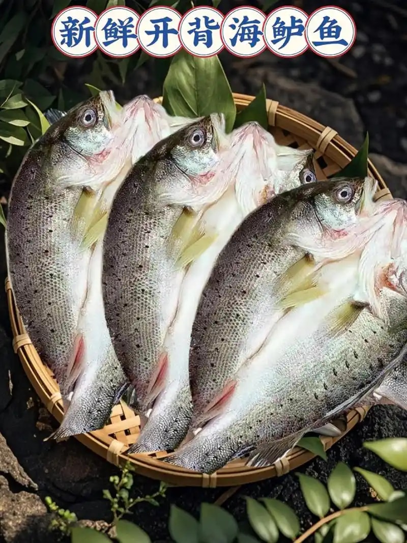 海鲈鱼