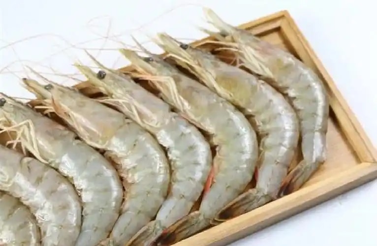 明虾鲜活