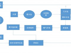 山东：淡水石斑实现零用药高效生态养殖模式