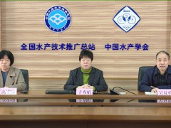 春光无限好，花艺正当时——水产总站学会妇委会举办庆“三八”插花小讲堂