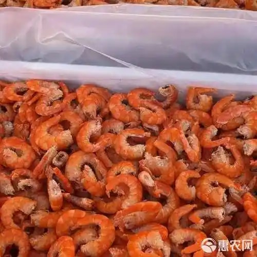 对虾仁