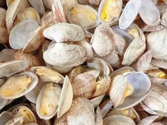水产总站学会举办2026年度新聘用人员入职见面会