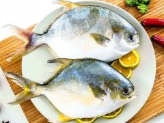 海产品进口检验检疫新规解读