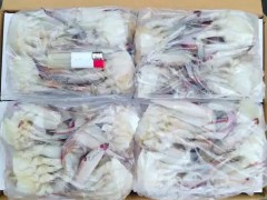 何建湘副站长带队赴四川调研水产绿色健康养殖技术推广“五大行动”