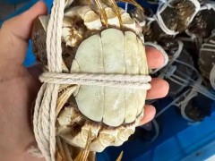广西：水产养殖种质资源基本情况普查进入最后全力冲刺阶段