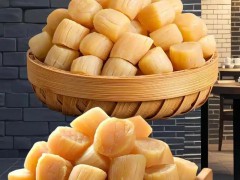 2026中国水产品博览会·湛江站