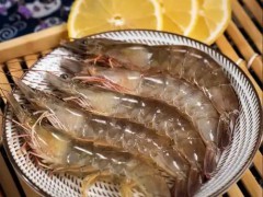 对虾养殖与终端批发渠道分析