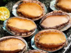胡红浪副站长、副秘书长出席美国大豆出口协会“第一期水产养殖、认证及饲料技术培训”开幕式并作专题报告
