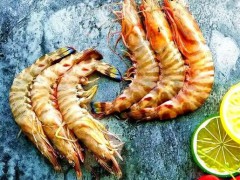 厦门：2020年现代农业（藻类）产业技术体系育种高峰论坛在厦门召开