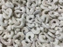 弘扬奋斗精神 强国复兴有我——水产总站学会开展“军事日”主题秋游活动