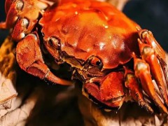 求购淡水蟹 3000斤