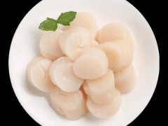 冷冻水产区域代理招商